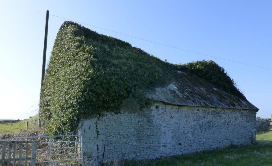 The traditional stone barn was engulfed in vegetation. Having fallen into disuse and disrepair, conversion was the optimum solution