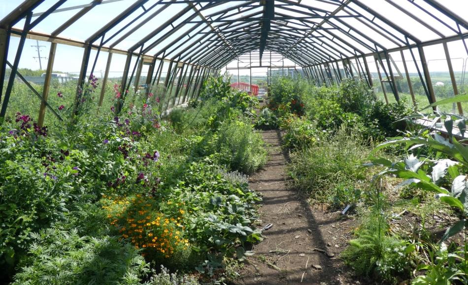 The food miles from the farm to Woolsery village will be minimal  