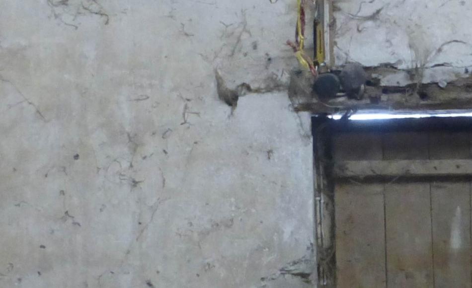 Witches marks are often found near openings in buildings