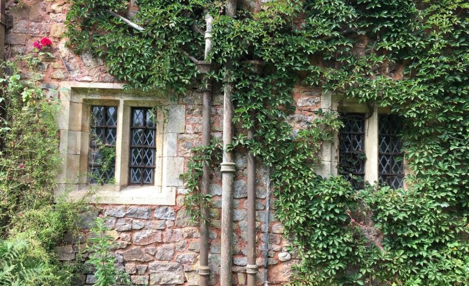 20th Century soil stacks will be removed and the vegetation removed from the rear to restore the elevations to nearer their original appearance