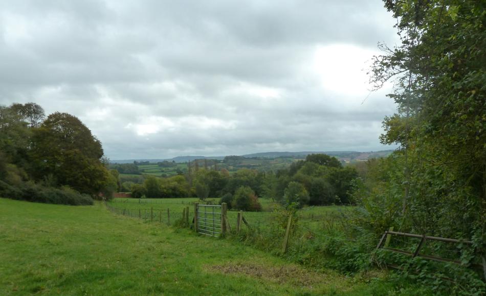 Views to Dartmoor.