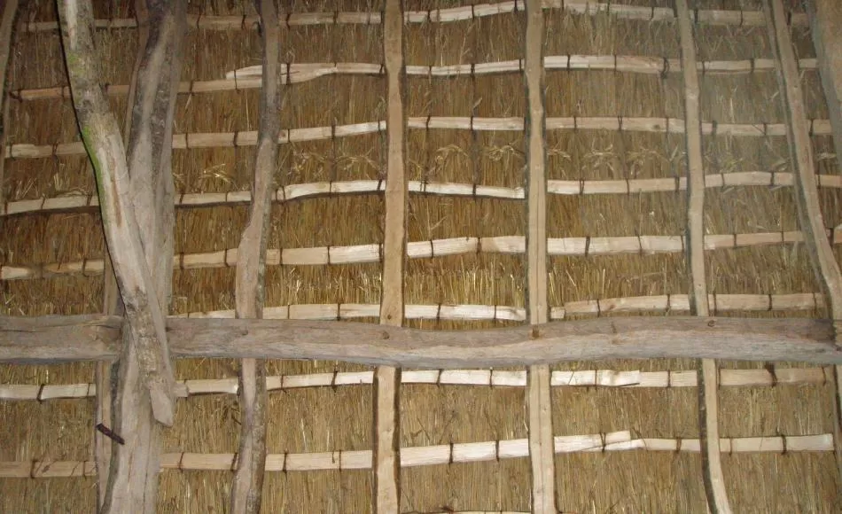 Devon Barn - re-thatching using traditional wheat reed tied to roof with tarred twine