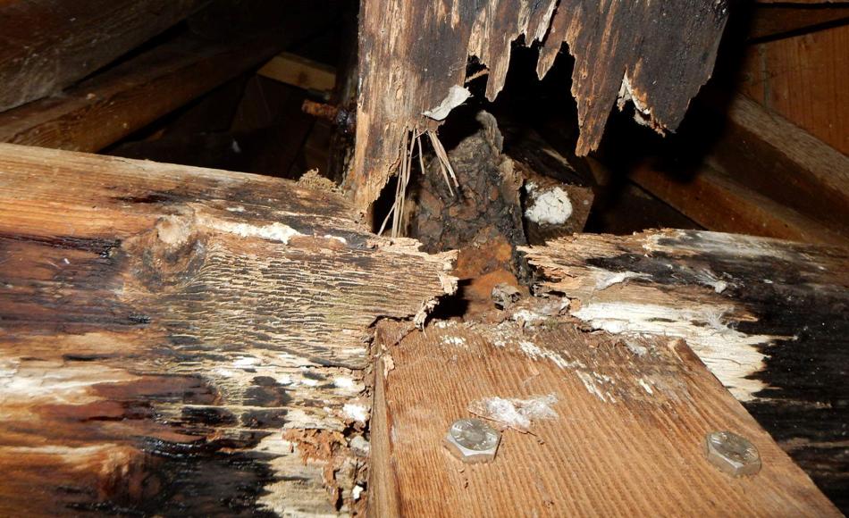 Before repair: water penetration into the spire had caused extensive concealed decay of the structure and corroding of fixings. 