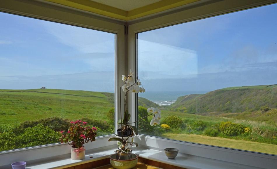 Current view from Kitchen