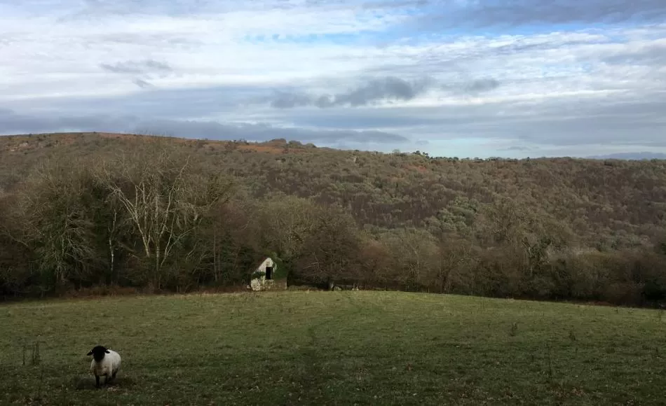 Field barn set within stunning Dartmoor National Park