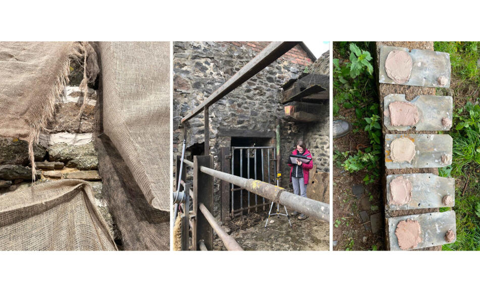 Limework protections, management plans in progress and mortar samples