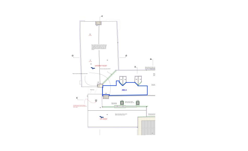 Bat roost solutions on Manor roof 