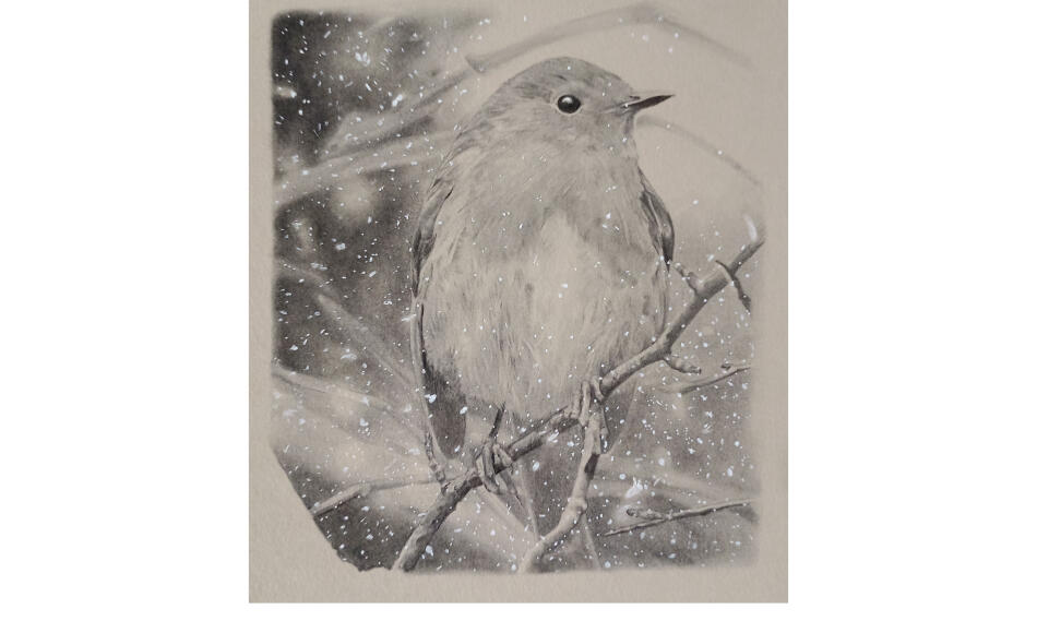 Winning entry by talented Architectural Apprentice, Evie Burrows