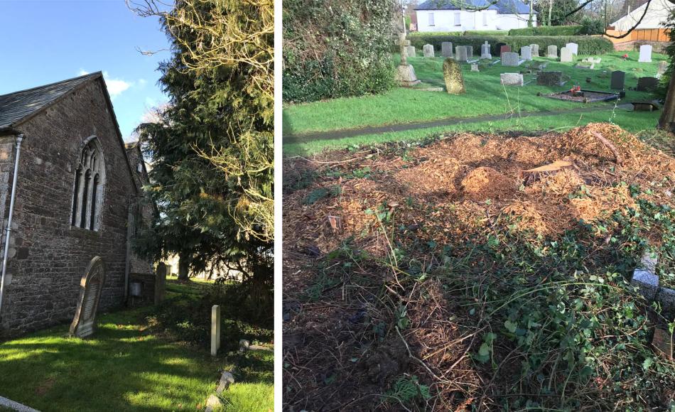 The Cypress tree roots had been causing subsidence at the east end of the church