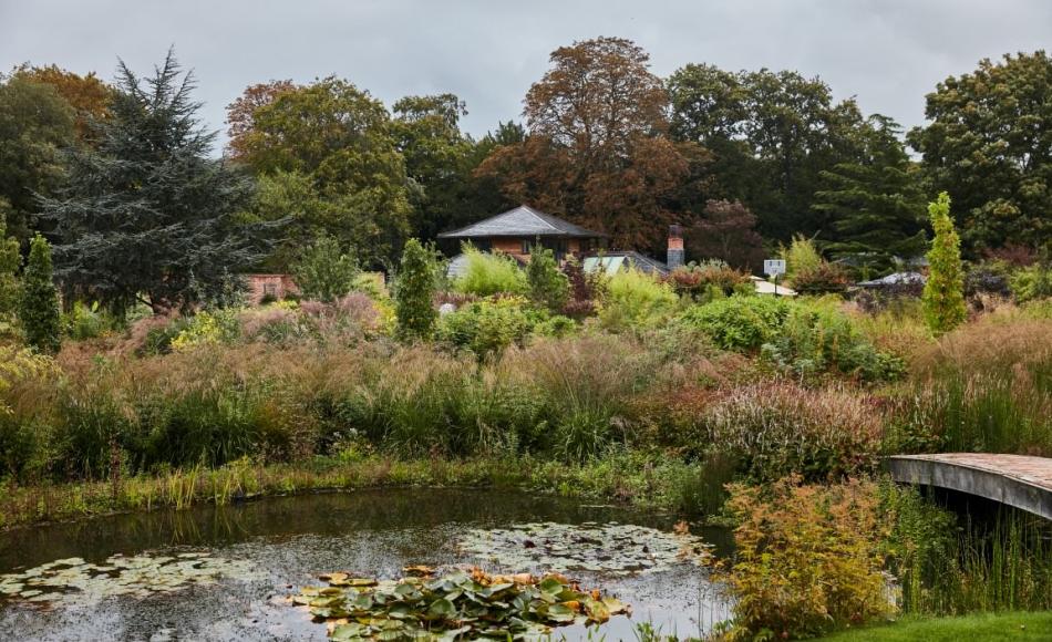 A wild pond provides an abundance of habitat in this Piet Oudolf inspired garden