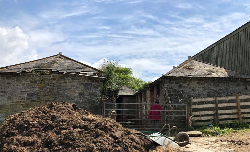 Alice getting stuck into Dartmoor barn surveys, with the weather on her side