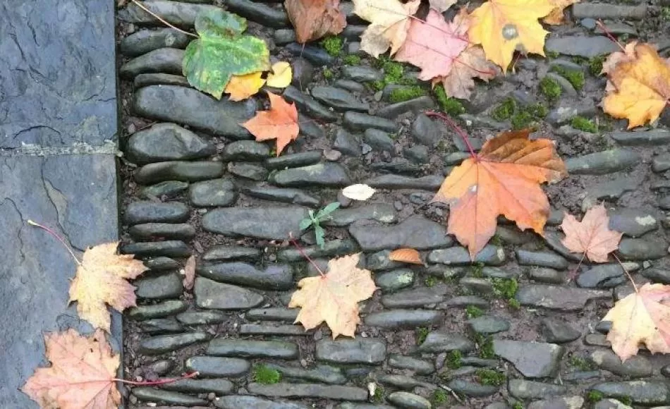 River-washed cobble reinstatement by Williams & Burrows. Copyright Williams & Burrows