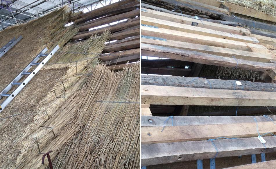 Reuse of historic thatching battens, thatch build up and works in progress.