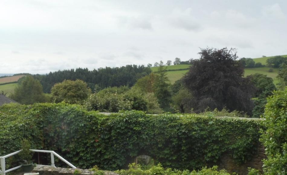 The view from the new extension