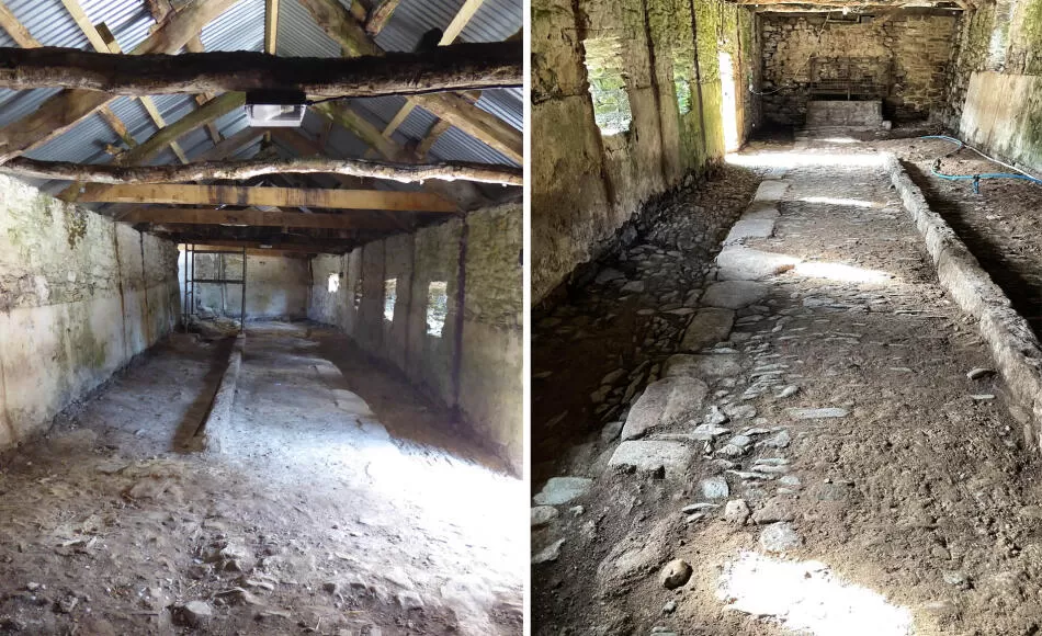 The early shippon floor was revealed after the concrete floor and milking stalls were removed  