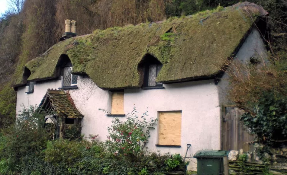 Thatched roof in need of replacement