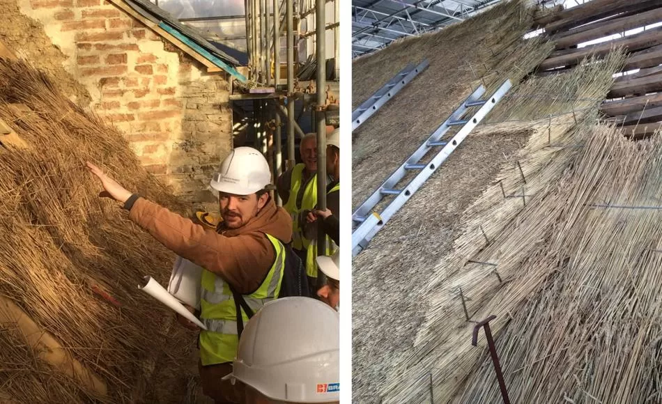 Monitoring thatching in progress