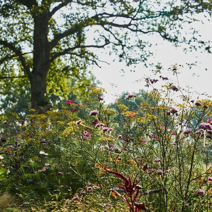 Flowers at Devon barn conversion