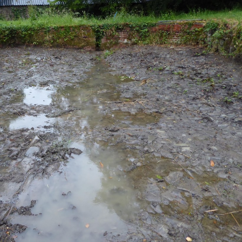 Horse washing pond 