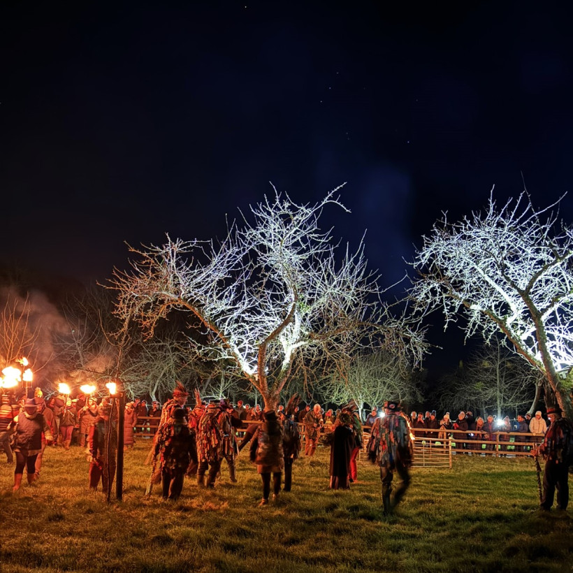 Somerset Architects celebrate with traditional wassail