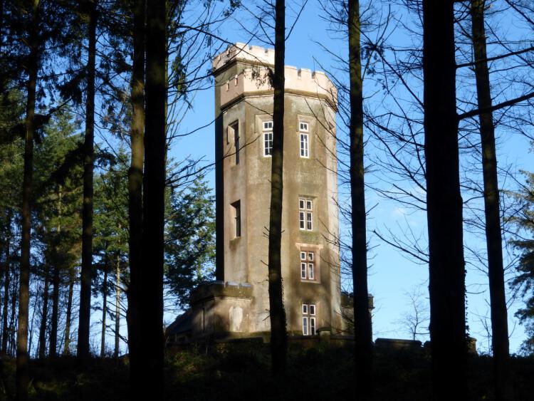 China Tower diversification Large