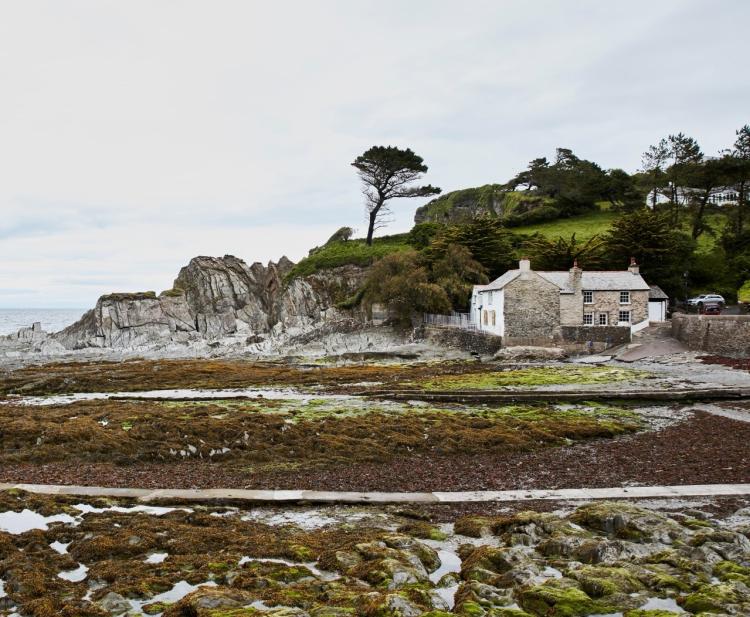 Mill House conservation view (Large)   Copy