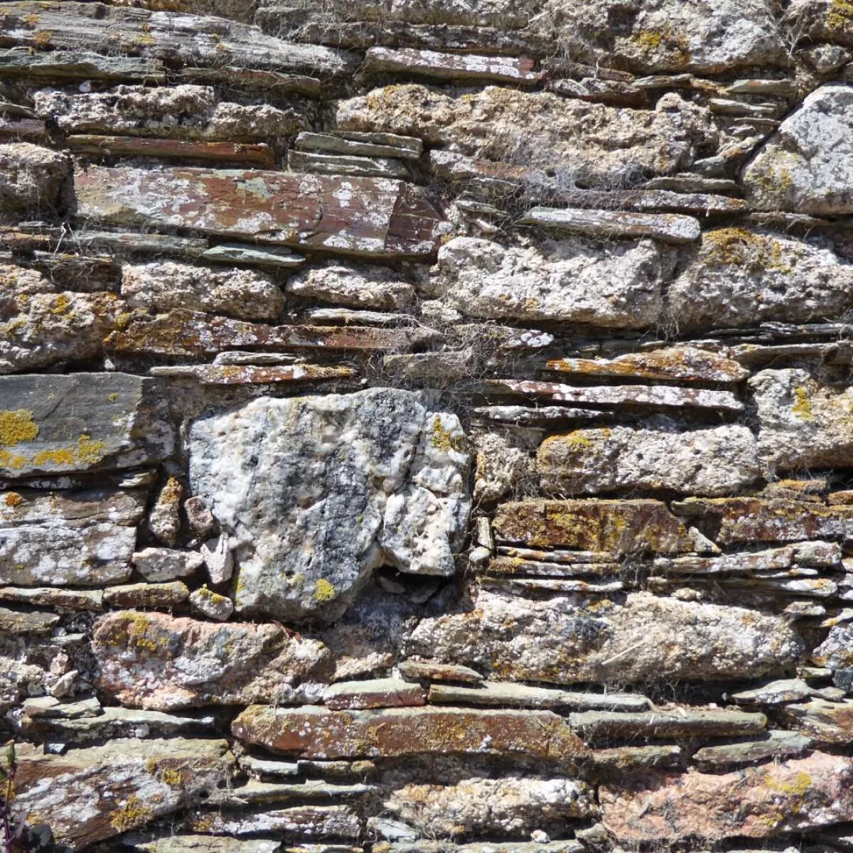 1226L Devon barn repair 3