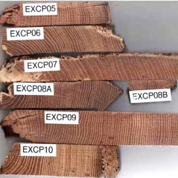 1326 Conserving a ruin South west architects 25