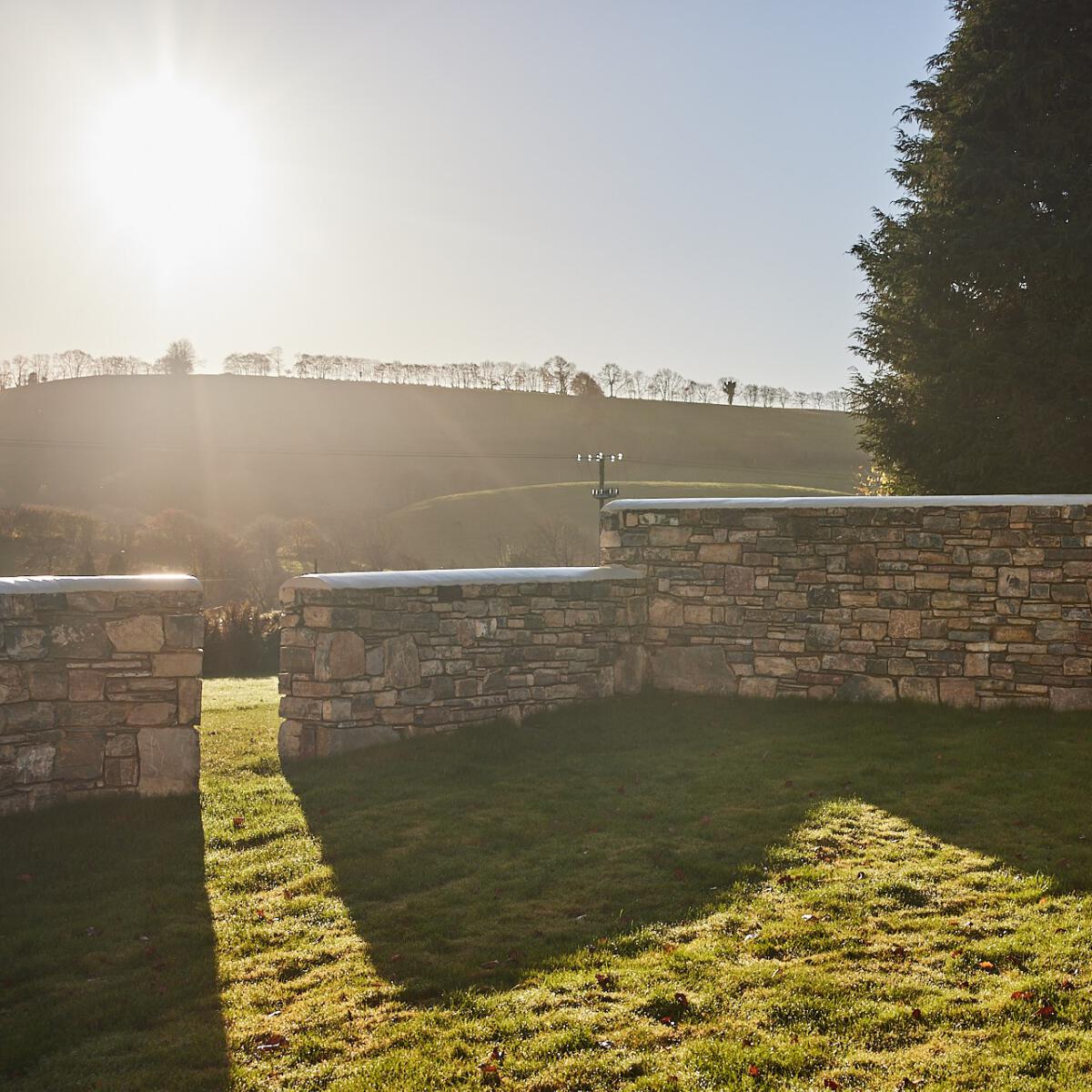 Biodiversity net gain blog March 2024 1