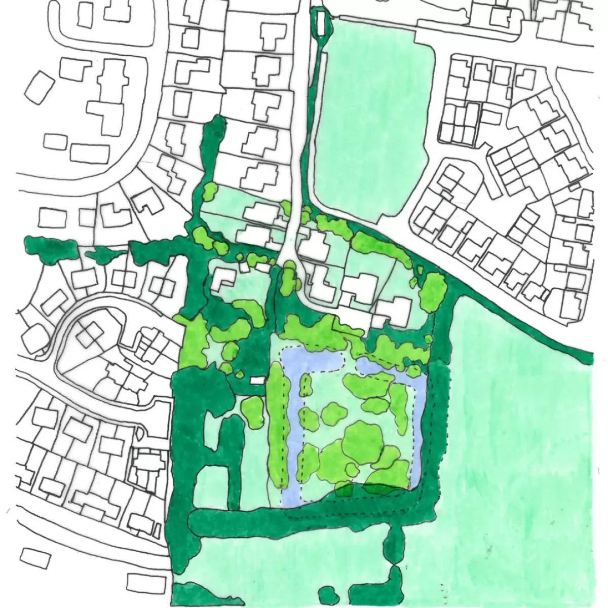 Crop eve sketch Large
