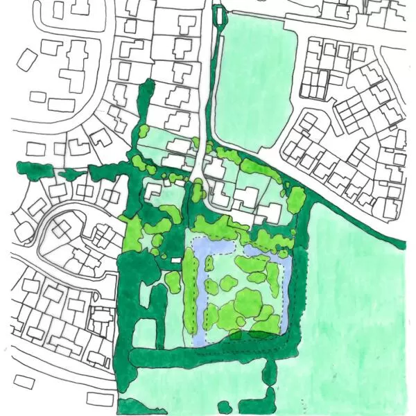 Crop eve sketch Large