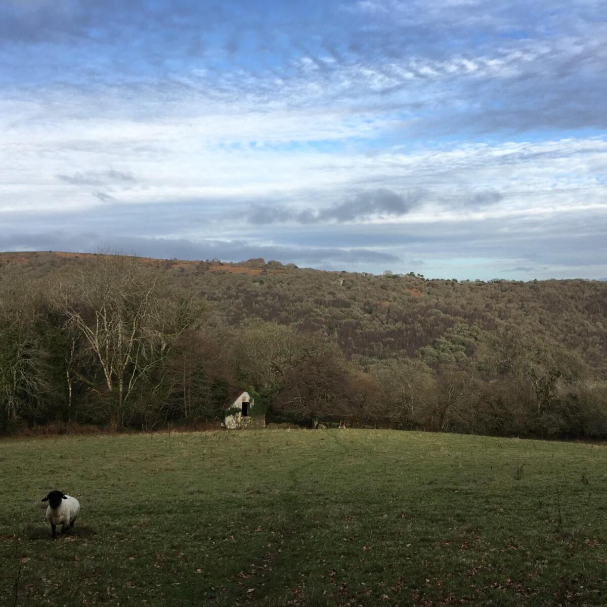 Dartmoor barns Architect survey 1
