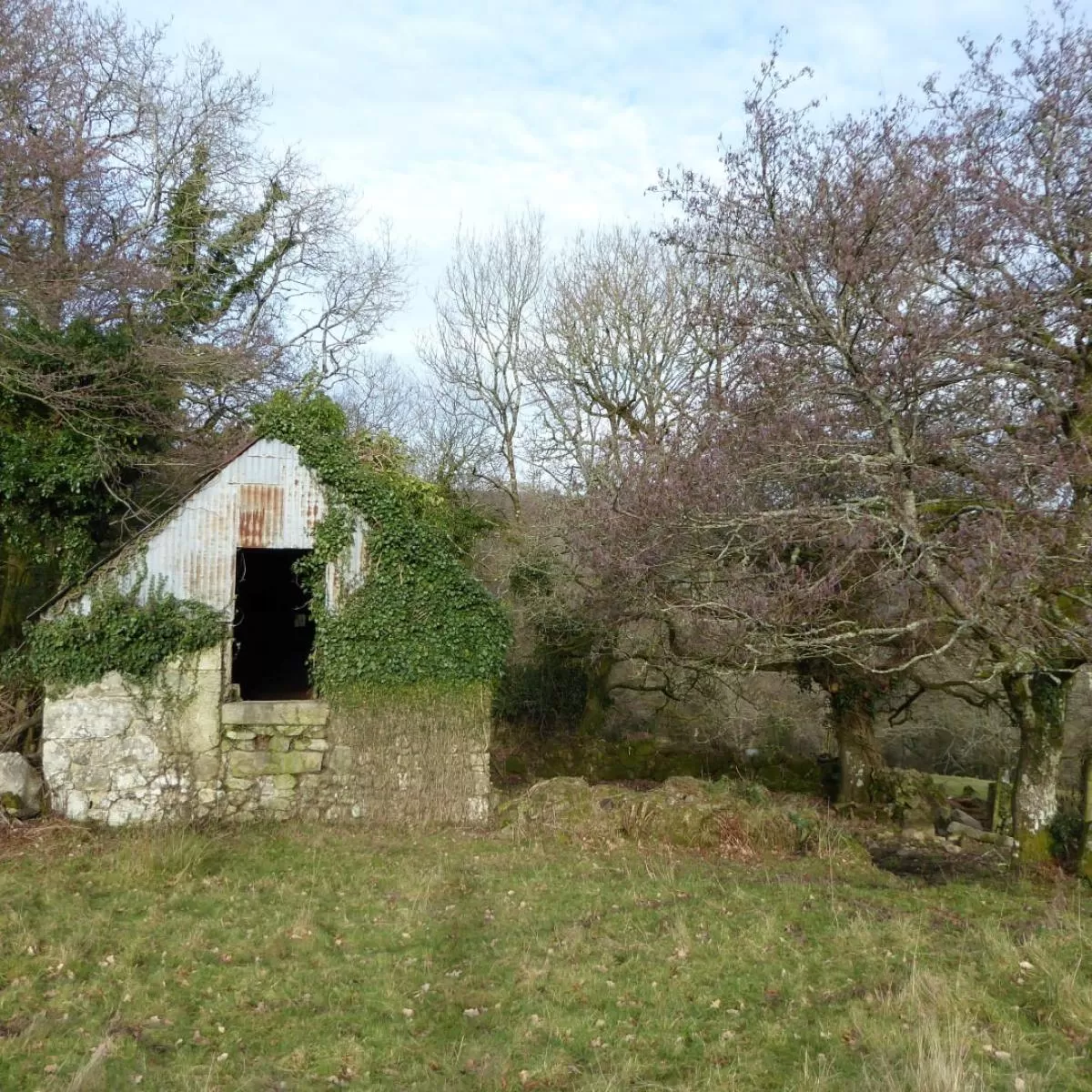 Dartmoor barns conservation barn Large