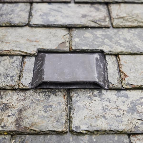 Ecology Architects Somerset bat solutions thumbnail