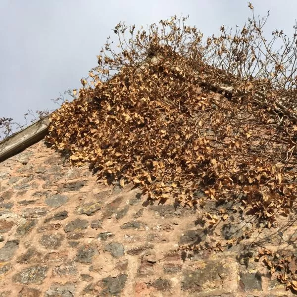 Grade I house barn conversion before