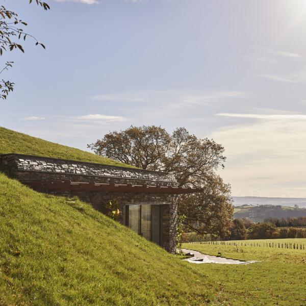 Green roofs and biodiversity architects southwest 8