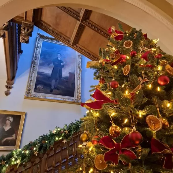 Killerton Architects Christmas blog