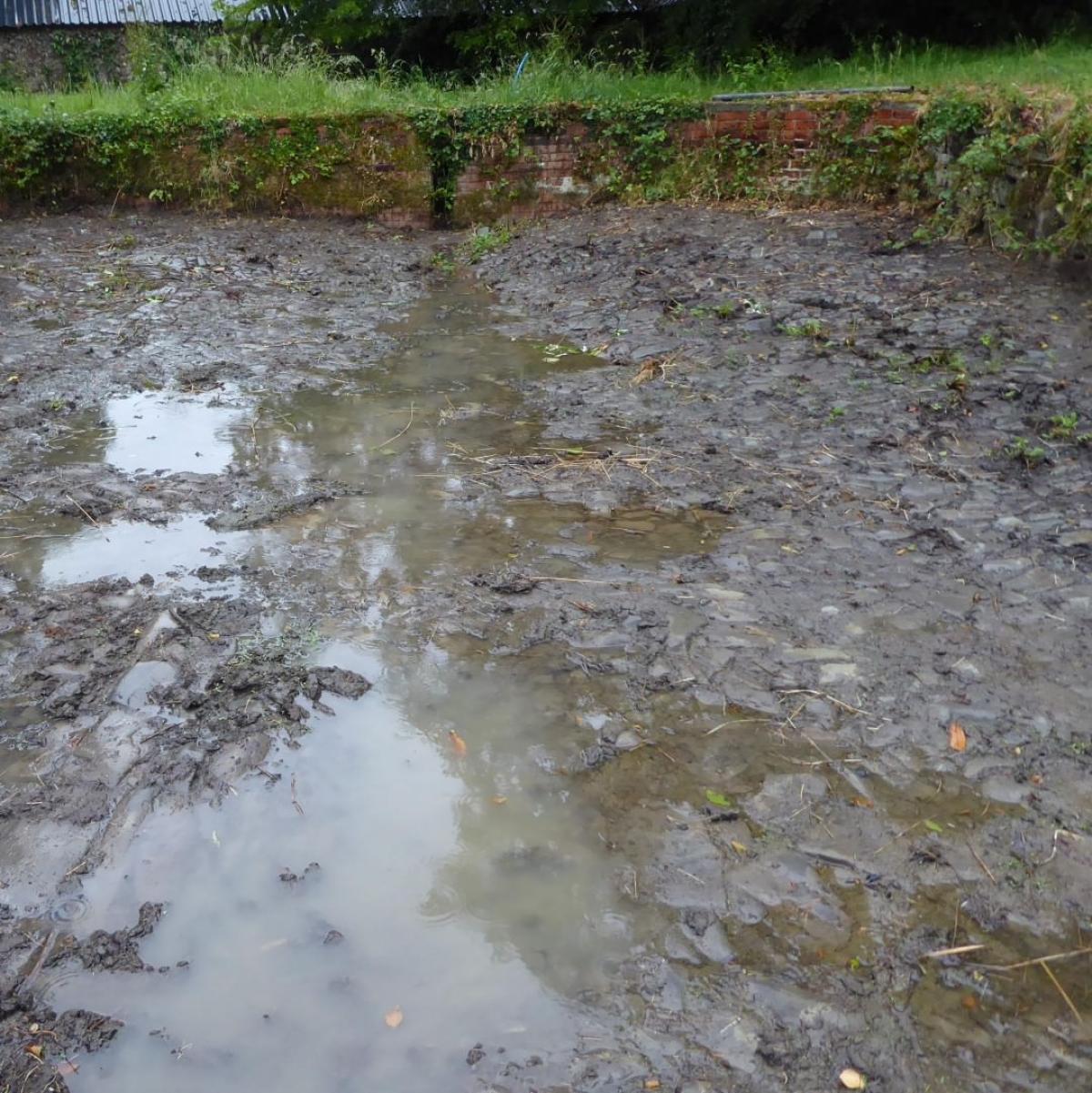 North Devon pond restoration thumbnail