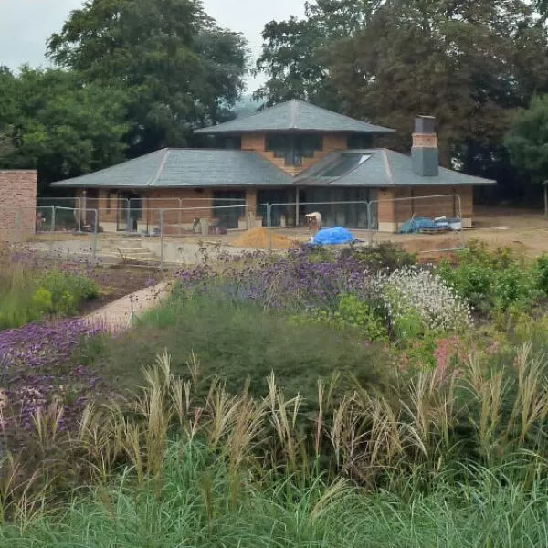 P1050261 square crop2