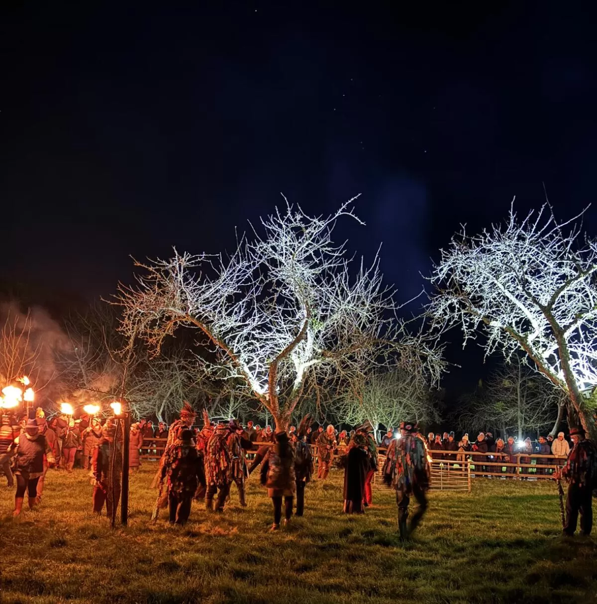 Somerset architects bless apples at wassailing event