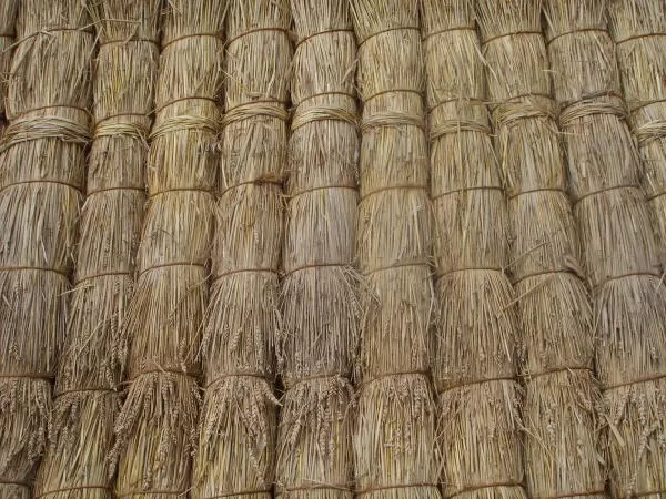 Tied straw yealms forming the first brow course at the eaves of a roof