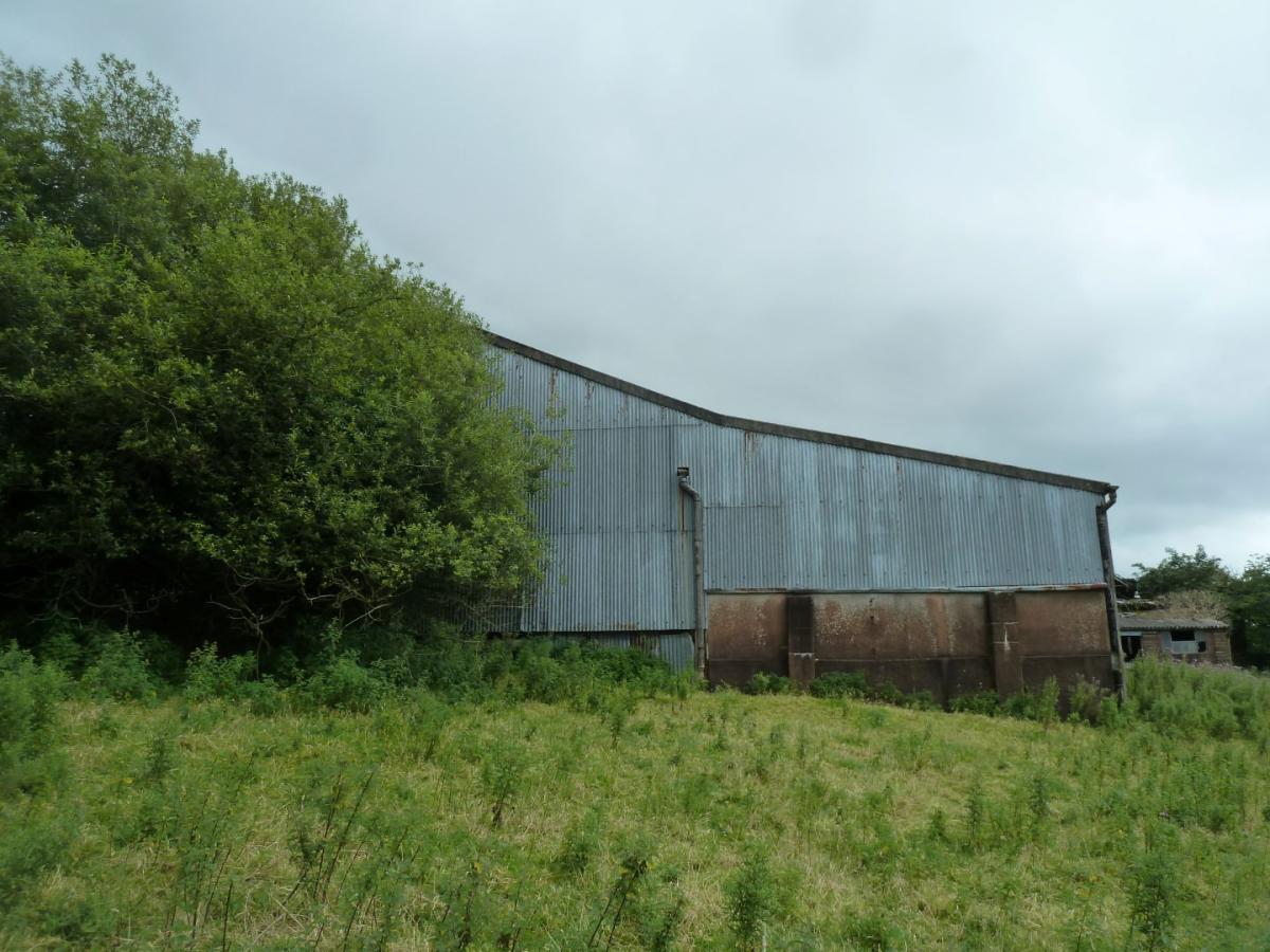 class q chumleigh thumbnail Large