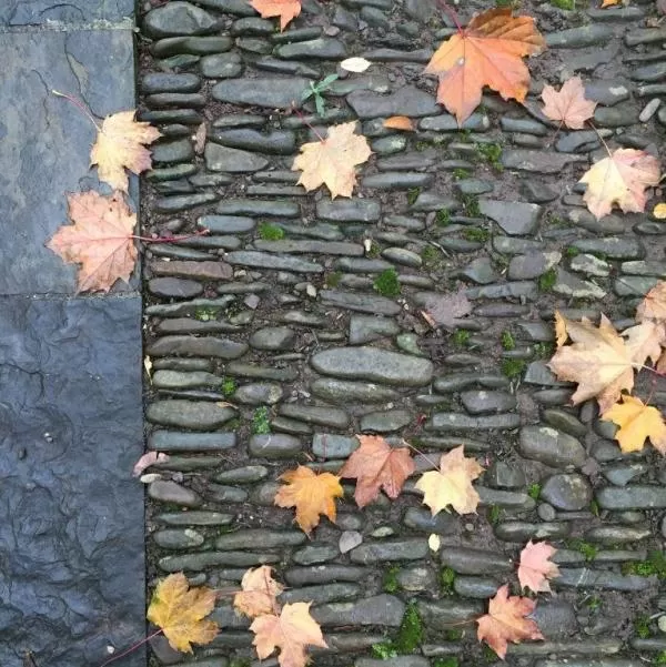 cobbles + leaves thumbnail