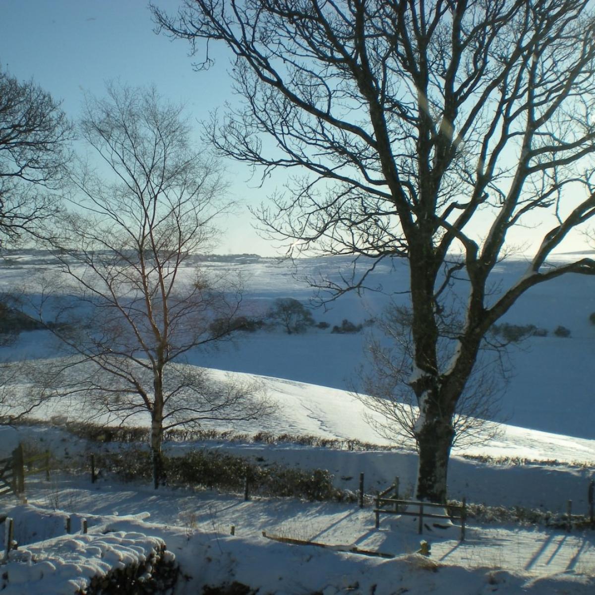 office snow 012 crop Large