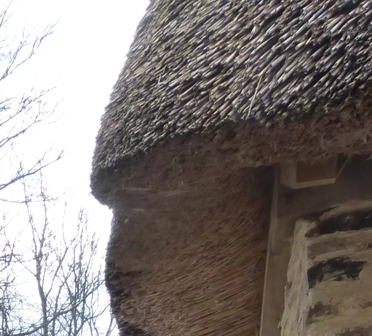thatch detail