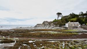 Mill House conservation view Large
