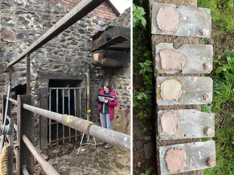 Dartmoor barns Architect survey