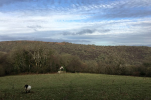 Dartmoor barns Architects Devon conservation 1