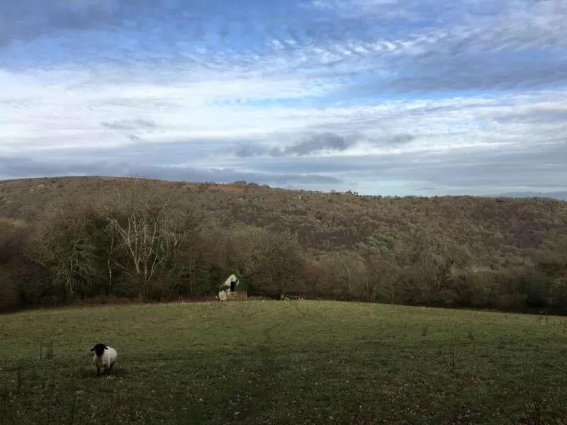 Dartmoor barns Architects Devon conservation 1