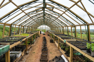 1213 Architects Devon Birch Farm MattAustin 234